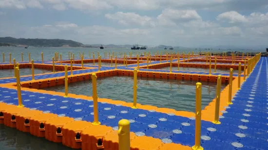 L'acqua gonfiabile del grande lago fa galleggiare la piattaforma dell'acqua Galleggiante del bacino galleggiante Galleggianti del bacino gonfiabile